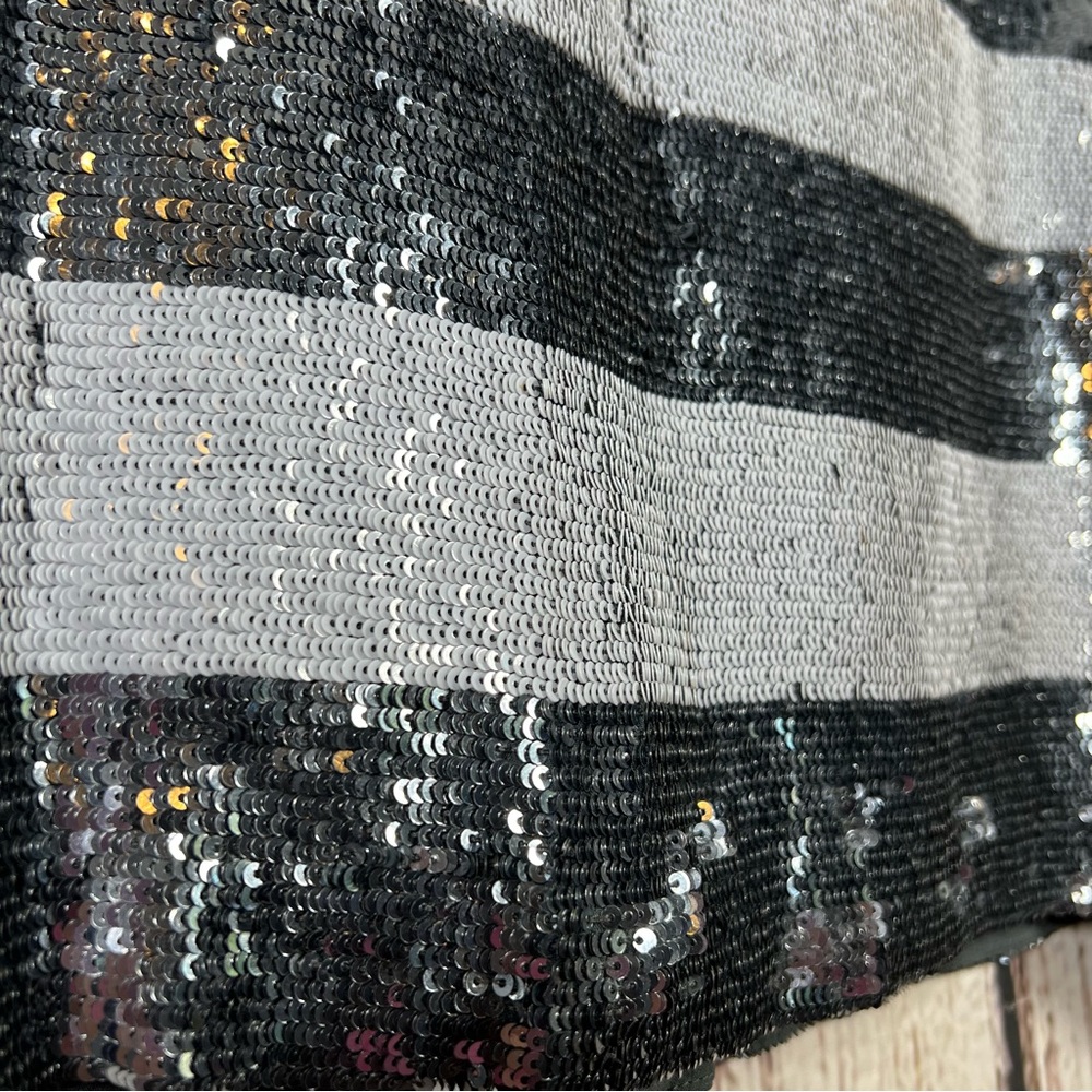 NEW Haute Hippie Striped Metallic Sequins 100% Silk Mini Skirt $395 MSRP LARGE - Picture 7 of 16